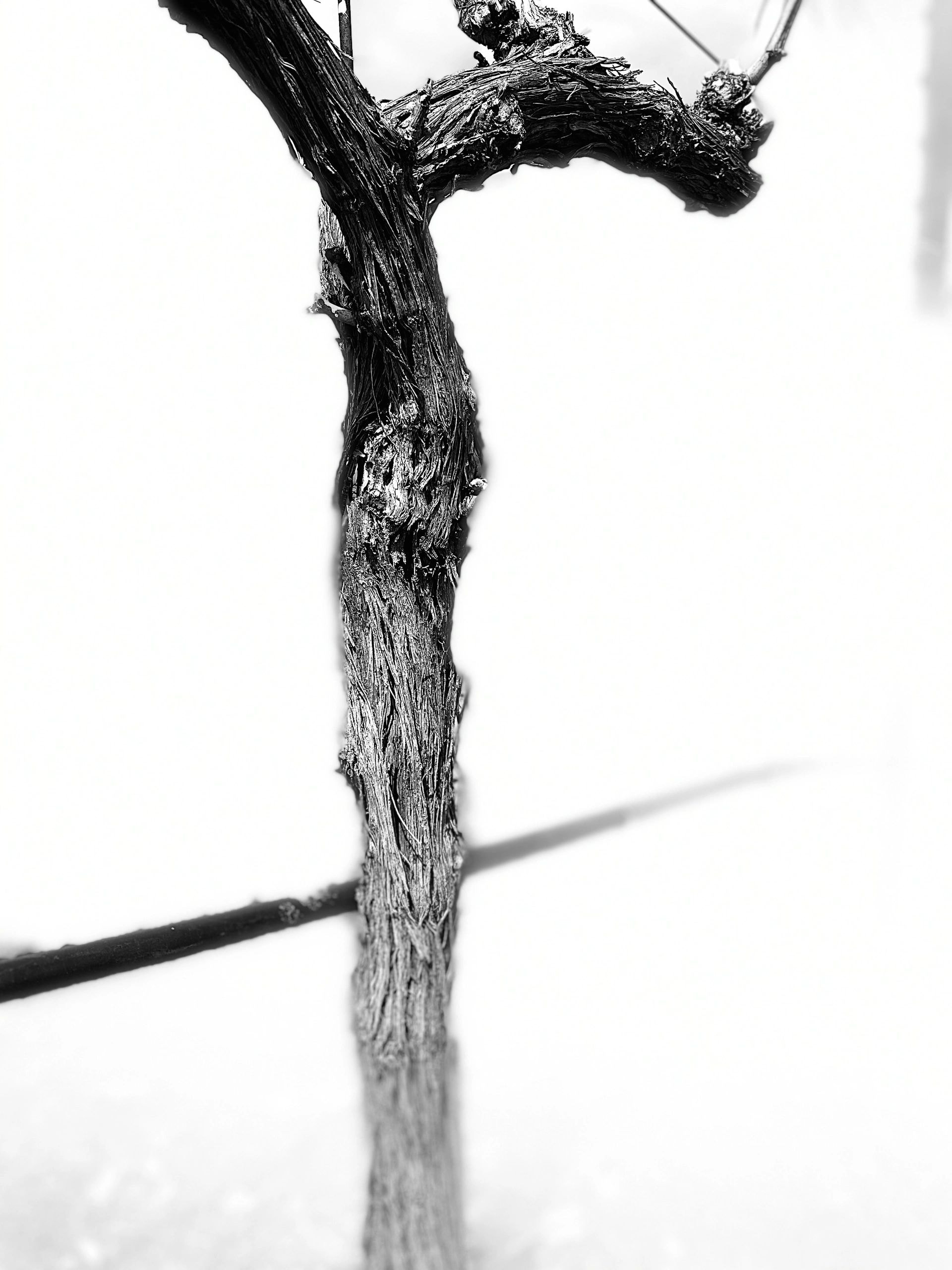 MEA Wine gallery image 14
